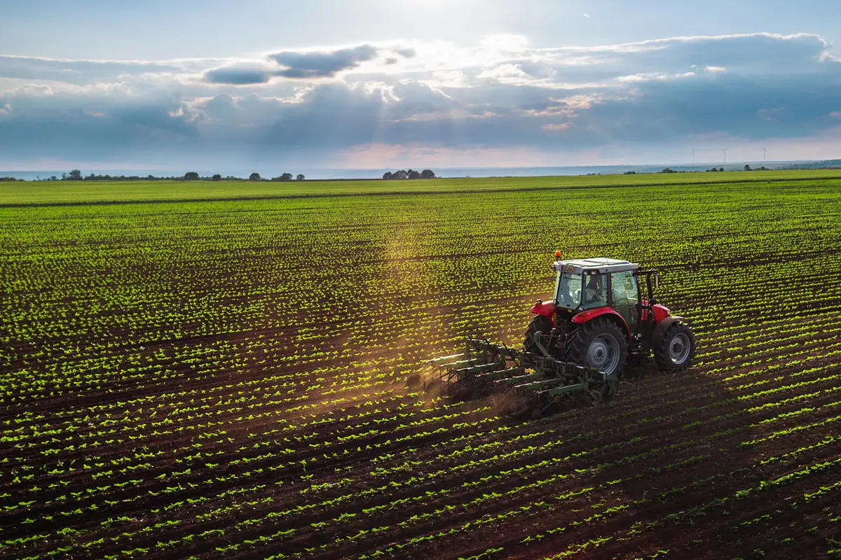 Agriculture
